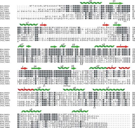 Sequence Alignment: Scores, Gaps and Gap .